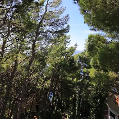 With Parking Space Marusici, Omis - 956 * ميميتسا
